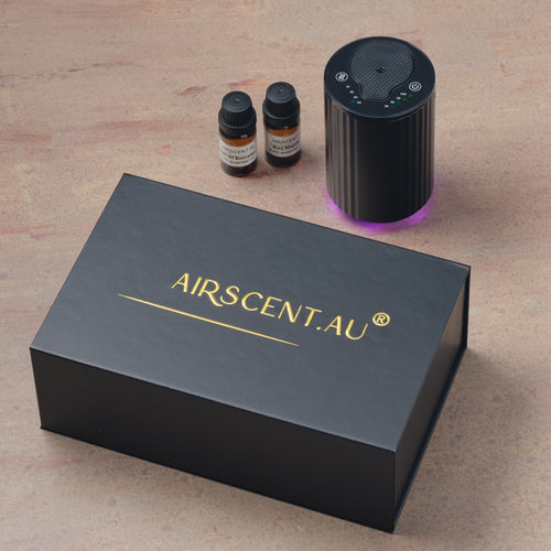 New Portable Car Diffuser Gift Set